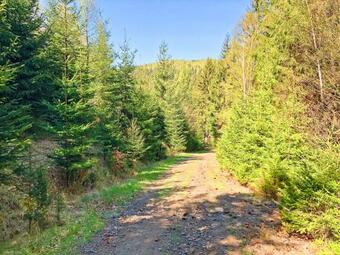 Hostal Penzion Orion