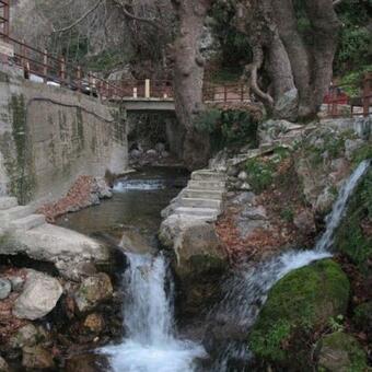 Apartamento Liland Beachfront