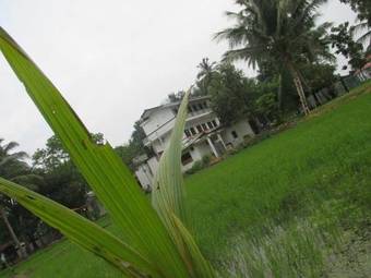 Hostal Manel Guest House