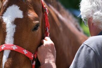 Apartamento Haus Seidendorf