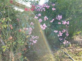 La Maison Du Bonheur � 15mn De Toulouse
