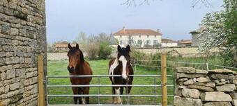 Apartamento Gites Chouette