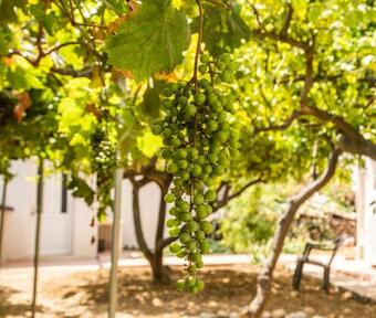 Vera's Sunny Apartment - 2bd - Steps To Beach - Kitchen - Free Parking