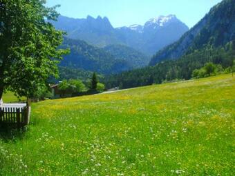 Apartamento Haus Bergheim