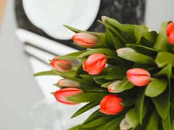 Apartamento Ferienhaus Twenty One