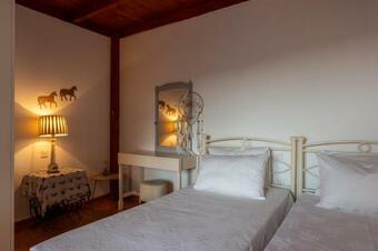 Swallow Traditional House