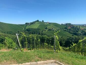 Apartment Weingartenblick - Seit 2021
