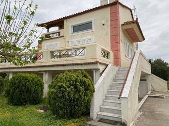 ????????????? ????????