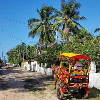 Hotel Pousada Mitologia Algodoal