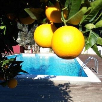 Agroturismo Agriturismo Malena