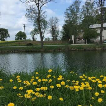 Hostal Pa?ac Osowo Gosty?skie