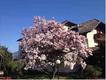 Angerburg Blumenhotel