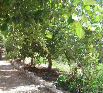 Apartamento Finca Tom�s Y Puri