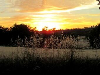Agroturismo Tournesol, G�te Typique 4 Pers Entre Toulouse Et Carcassonne