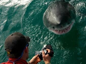 Ver fotos