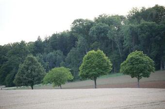 Hostal Pension Geerlisburg