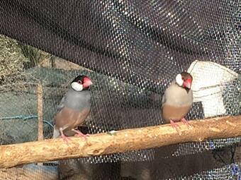 Hostal Escale Rando Taliouine