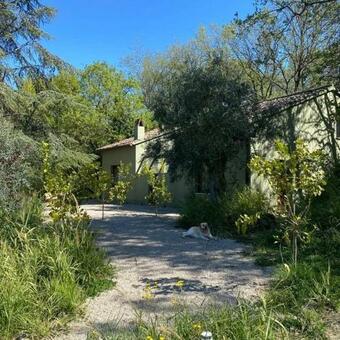 Bed & Breakfast Mesogheo