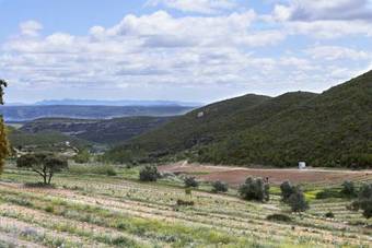 Agroturismo Finca Ecologica Heredad La Boquilla