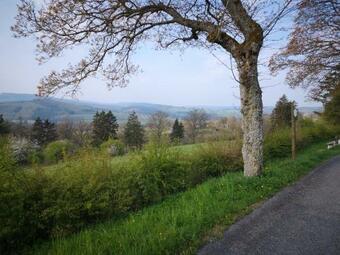 Au Louis D'or, Gite Pour 6 Personnes ,