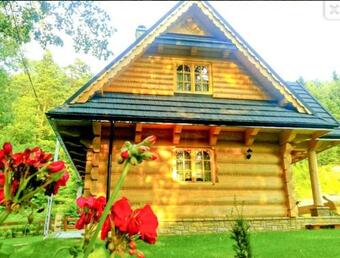 Apartamento Domek Nad Strumykiem