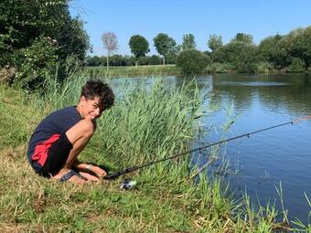 Bed & Breakfast Het Gouden Hert