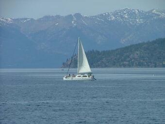 Rest, Relax, Heal And Have Fun At The Dorado Inn! Cabin