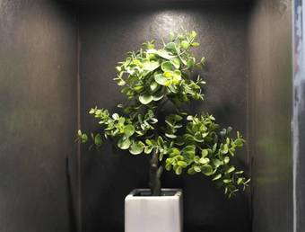 Apartamento Casa Manfredi