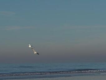 Bed & Breakfast Lowlander Bnb