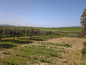 Apartamento Antico Casale Rosso