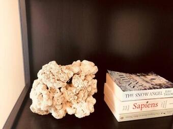 Waterfront Home Tamar Valley Tasmania