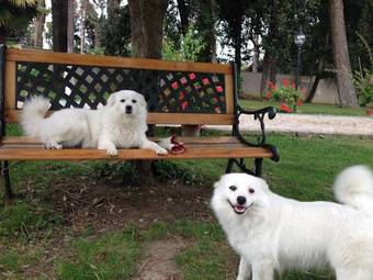 Bed & Breakfast Villa Berghella