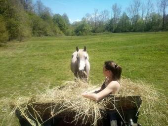 Apartamento Casa Dell'erbo