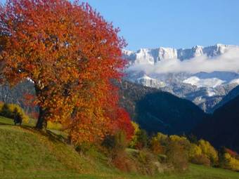 Bed & Breakfast Albergo Gasthof Zur Krone