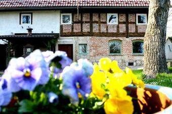 Bed & Breakfast Malinowa Ku?nia