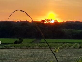 Maison Situ�e Entre N�mes, Uzes Et Ales
