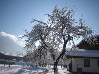 Apartamento Landhaus Schwentner