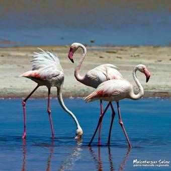 Bed & Breakfast Abiibii Sardinia