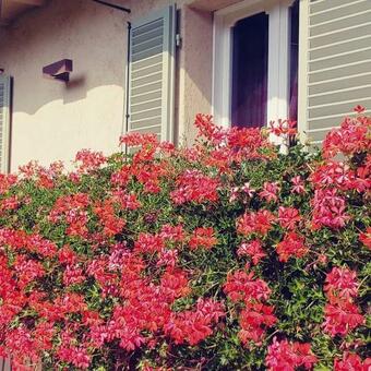 Villa Dionisia's Home, Pool, Spa On Monviso Unesco Alps