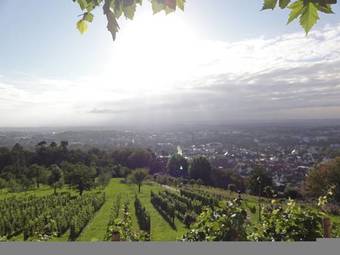 Hostal Caf� Restaurant Hotel Johannisberg