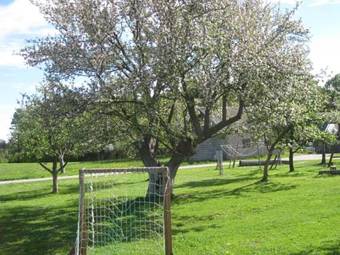 Apartamento Rosis Erlebnishof