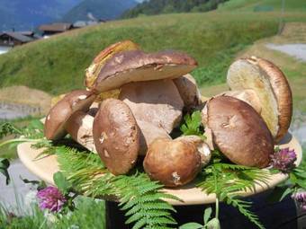 Hotel Albergo Riglarhaus