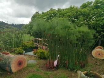 Hermosa Finca Con Mucha Naturaleza Y Tranquilidad