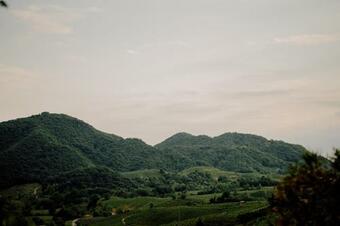 Villa Agriturismo Il Conte Vassallo