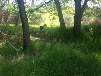 Ver fotos