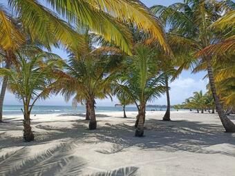 Apartamento San Blas - Isla Aroma Caba�a Simple