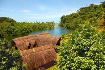 Hotel Rain Forest Lodge