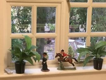 Hostal Ivy Todd Cottage