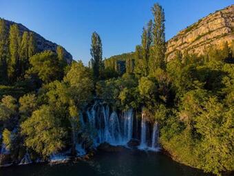Villa Holiday House Olive Tree