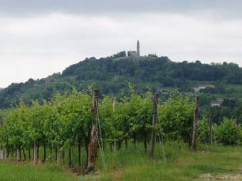 Apartamento Casa Delle Bruscole